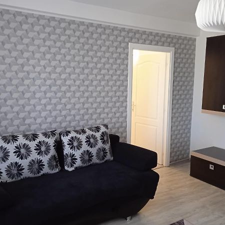 Ana Apartament Râmnicu Vâlcea エクステリア 写真