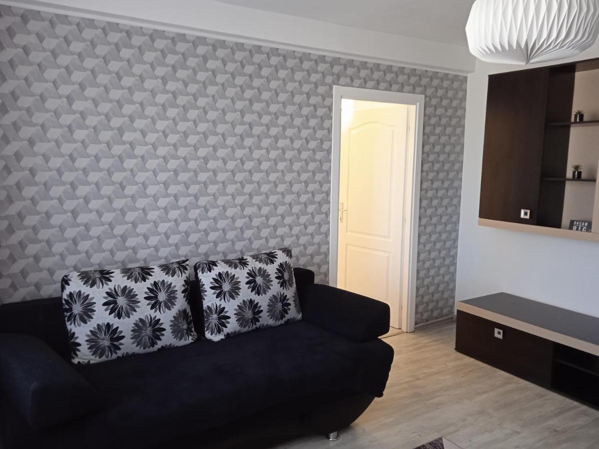 Ana Apartament Râmnicu Vâlcea エクステリア 写真