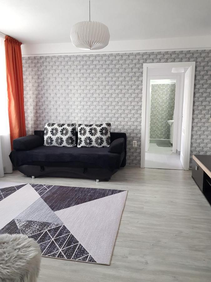 Ana Apartament Râmnicu Vâlcea エクステリア 写真