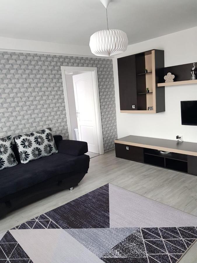 Ana Apartament Râmnicu Vâlcea エクステリア 写真
