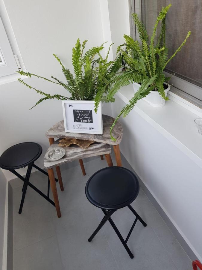 Ana Apartament Râmnicu Vâlcea エクステリア 写真
