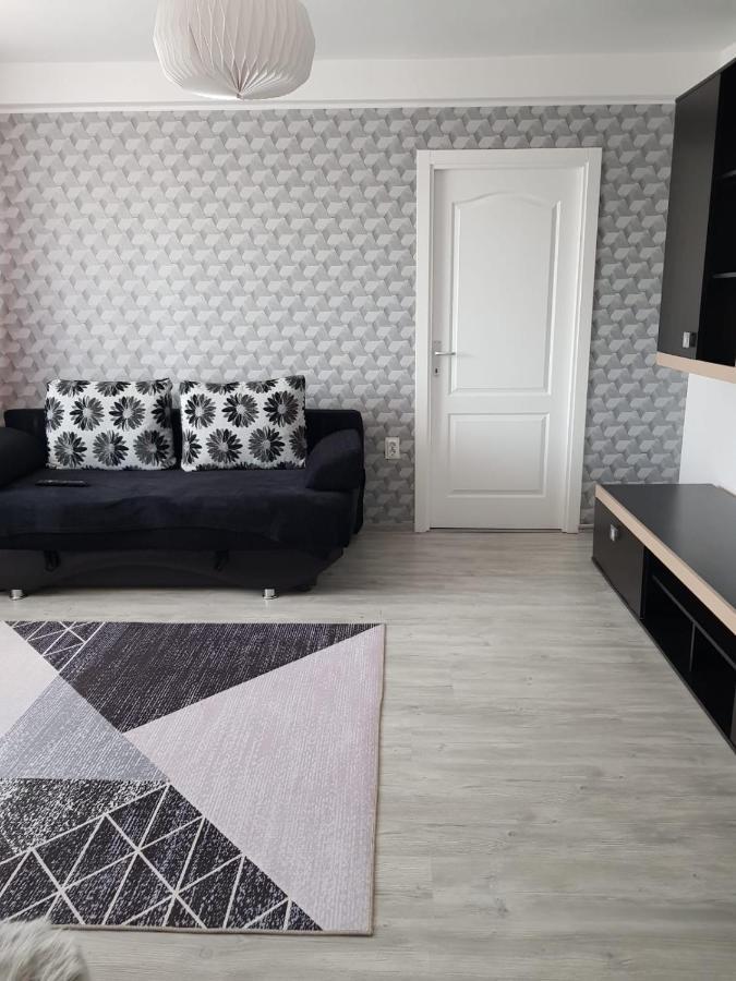 Ana Apartament Râmnicu Vâlcea エクステリア 写真
