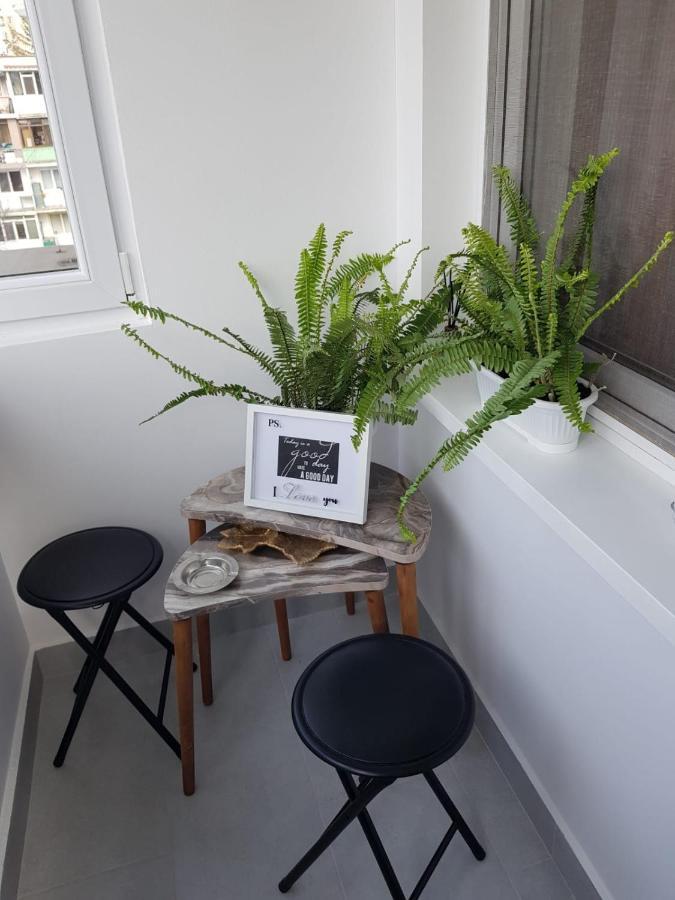 Ana Apartament Râmnicu Vâlcea エクステリア 写真