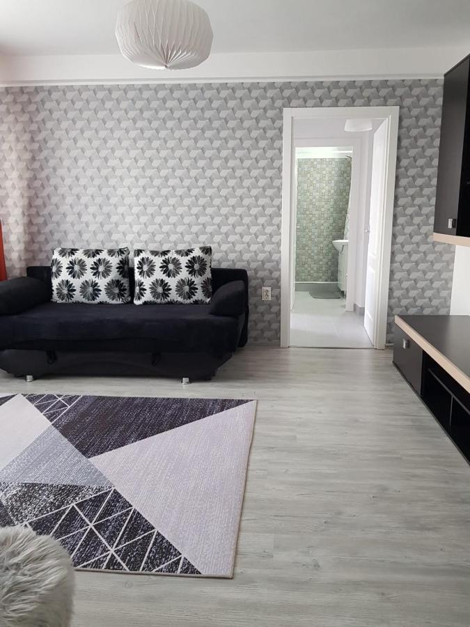 Ana Apartament Râmnicu Vâlcea エクステリア 写真