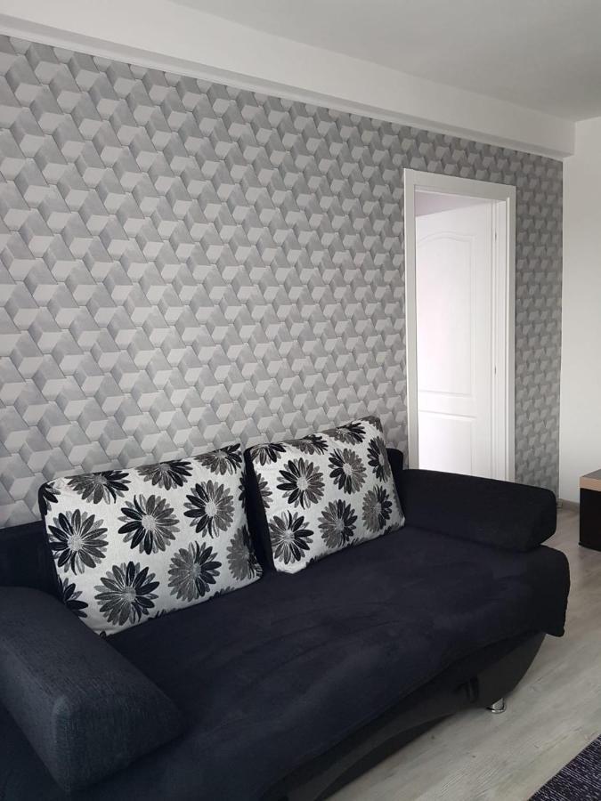 Ana Apartament Râmnicu Vâlcea エクステリア 写真