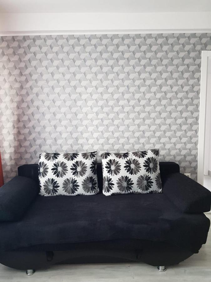 Ana Apartament Râmnicu Vâlcea エクステリア 写真