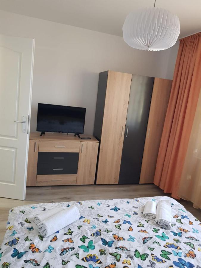 Ana Apartament Râmnicu Vâlcea エクステリア 写真