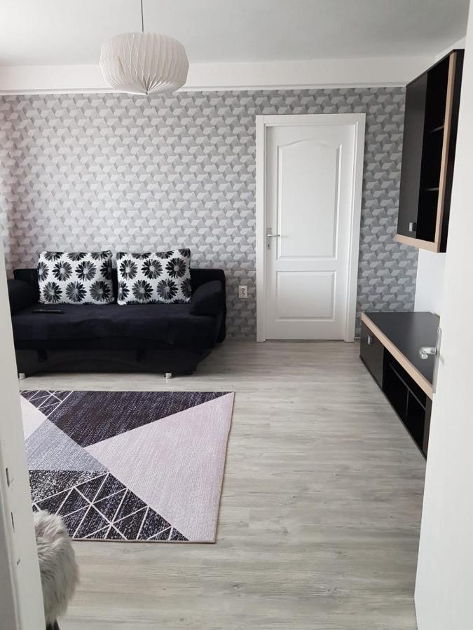 Ana Apartament Râmnicu Vâlcea エクステリア 写真