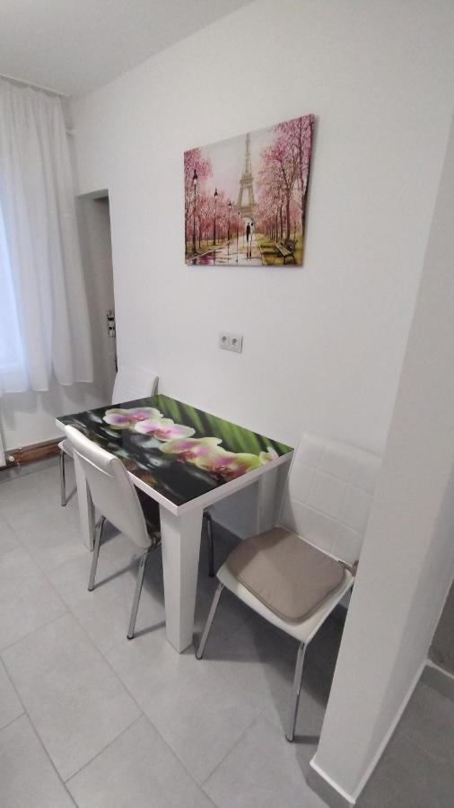 Ana Apartament Râmnicu Vâlcea エクステリア 写真
